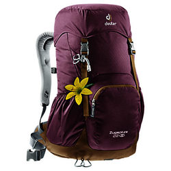 Deuter Zugsplitza 22 Backpack, Purple